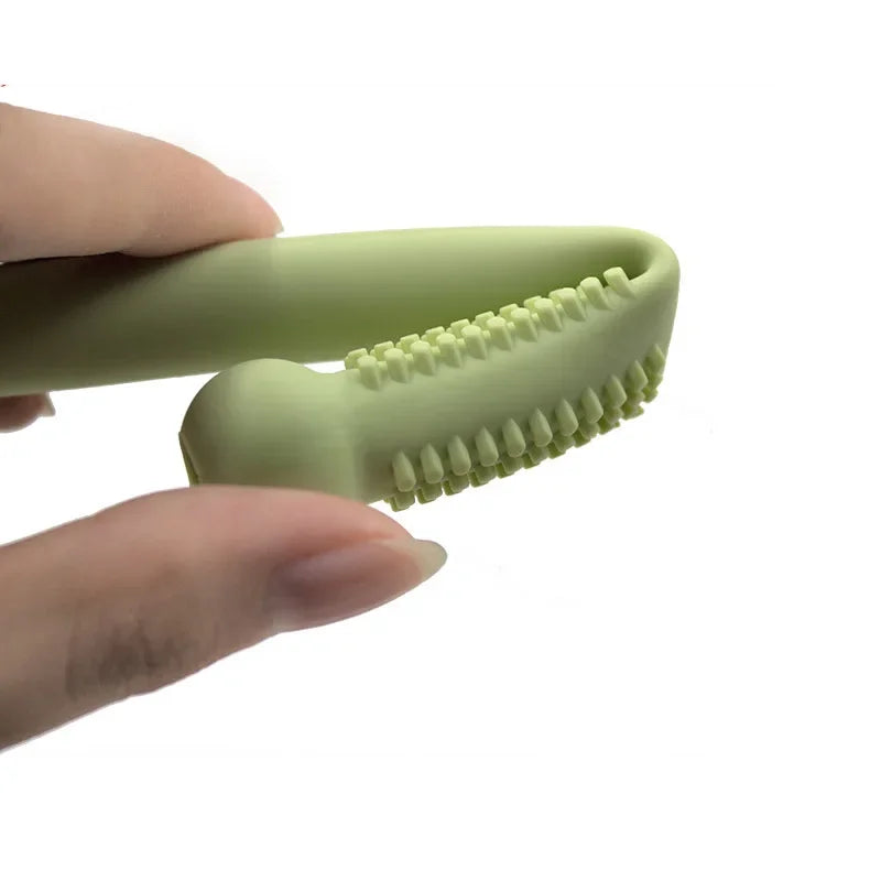 Bâton de dentition